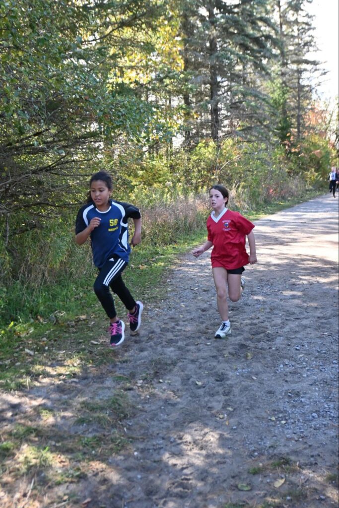 cross country meet 2026